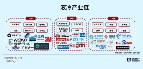 AI時代的下一個風口 光模塊項目策劃與公關服務戰略藍圖